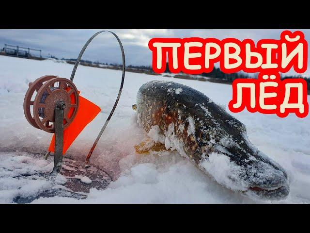 Первый лёд 2019. Щука на жерлицы. Открытие сезона 2019 - 2020