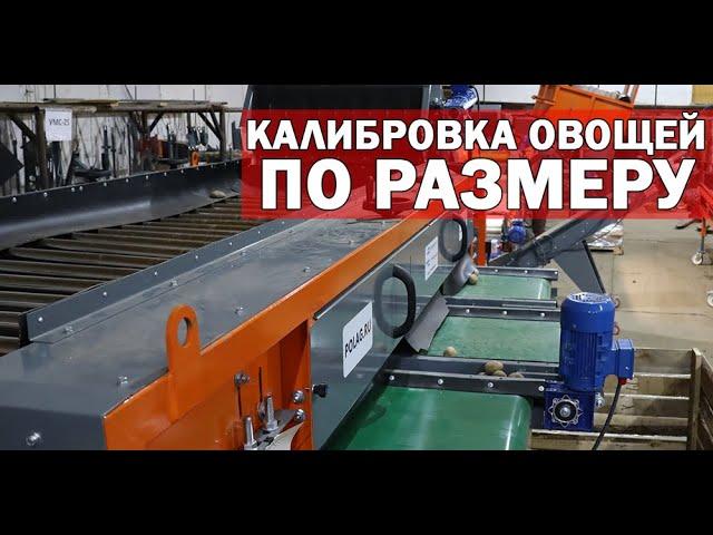 Роликовый калибровщик овощей (видео)