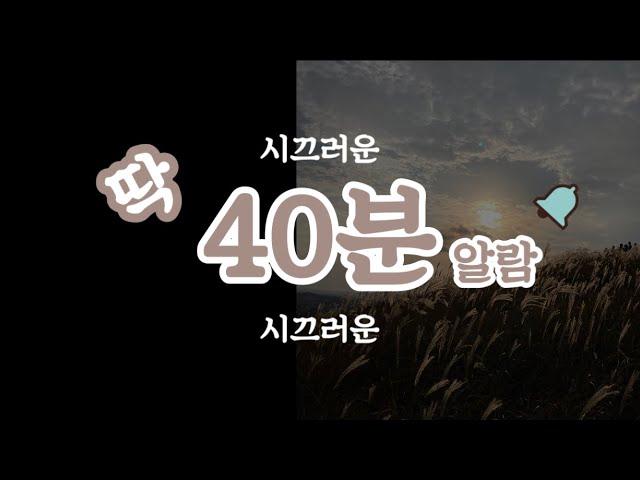 딱 40분 알람(countdown timer)/시끄러운 version