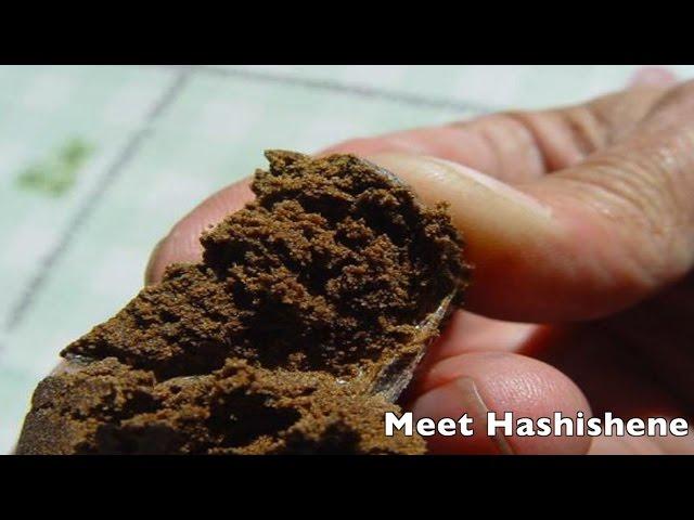 Meet Hashishene - Newly Discovered Cannabis Terpene