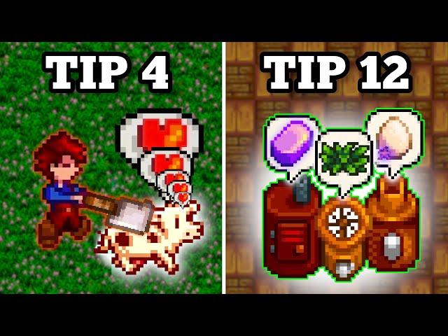 12 FORBIDDEN Stardew Valley Tips and Tricks