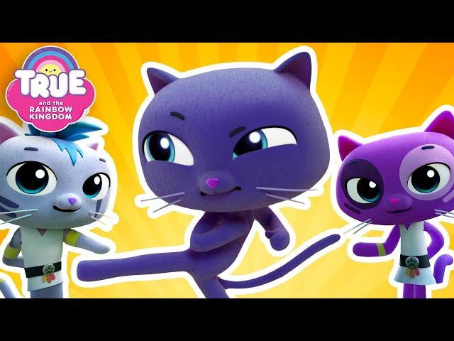 NINJA CATS!  6 Full Episodes  True and the Rainbow Kingdom 