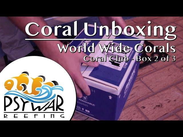 Unboxing - World Wide Corals - Coral Club - Box 2 of 3