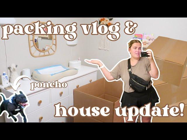 vlog: house update! packing up luna's room & poncho's first time at the new house 