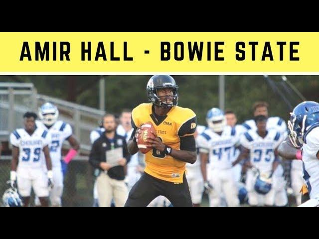 Amir Hall, QB, Bowie State | 2019 NFL Draft Highlights | Draft Diamonds