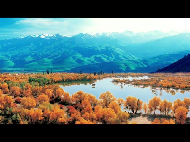 Beautiful Uyghur Relaxing Music for Stress Relief • Relax, Sleep, Meditate, Study