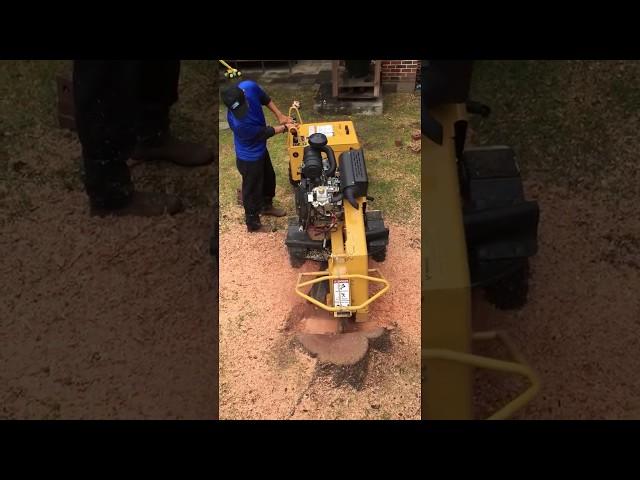 Stump Grinder