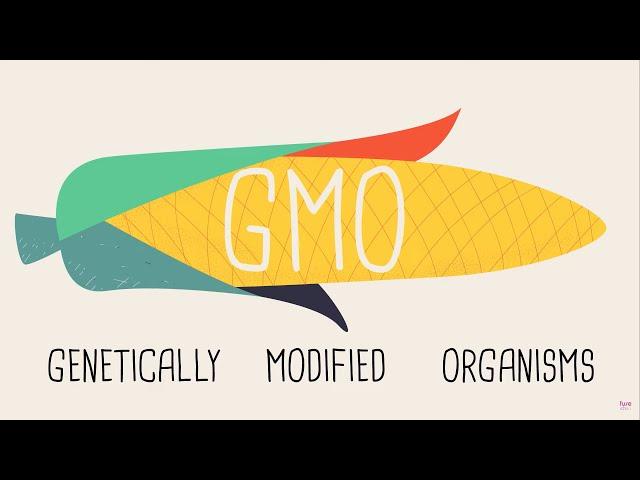 Artificial Genetic Manipulation: The Evolution of Genetically Modified Organisms Selective Breeding