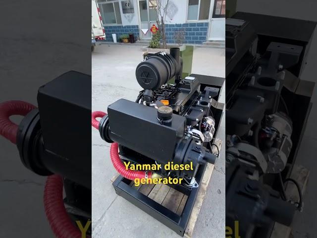 Yanmar brand diesel generator 20kw for sale #yanmarengine #yanmar 4Tvn98