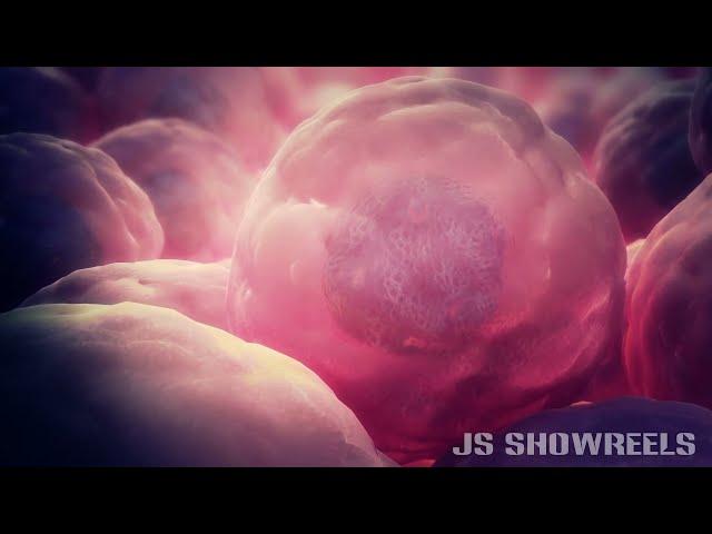 Showreel 2016 | JSSHOWREELS