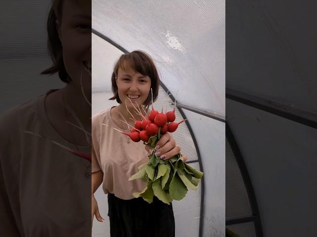 #бурятия #село #огород #домвдеревне #деревенскаяжизнь #деревня #весна2024 #сибирь #дом #сельская