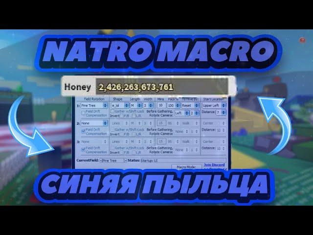 НАСТРОЙКА NATRO MACRO ДЛЯ СИНЕЙ ПЫЛЬЦЫ! |Pine Tree