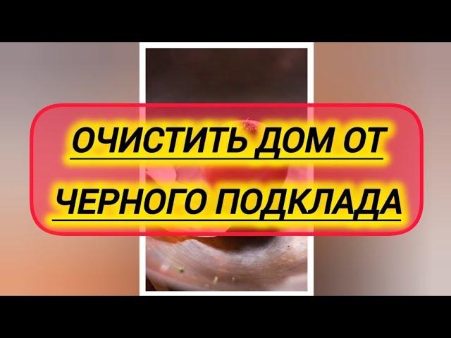 ОЧИСТИТЬ ДОМ ОТ ЧЁРНОГО ПОДКЛАДА ВРАГОВ 