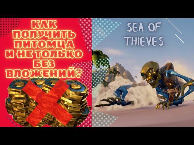 Как БЕСПЛАТНО получить питомца в Sea of thieves и не только | Гайд sea of thieves