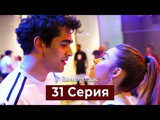 Зимородок 31 Cерия (Русский дубляж)