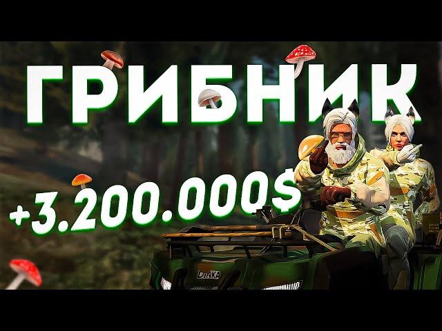 Фарм больше чем на Дальнобойщике! Все о работе Грибника на GTA 5 RP (Majestic)