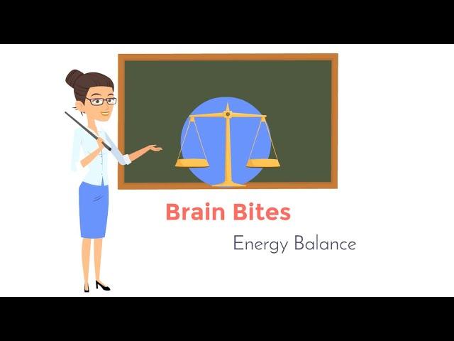 Brain Bites - Energy Balance