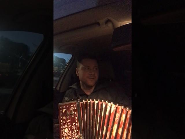 Костры горят  далёкие #гармонь #русскаямузыка #folkmusic #гармонист