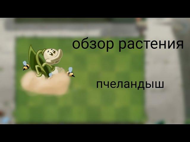 обзор растения пчеландыш plants vs zombies 2