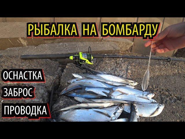 СПИНА УЖЕ БОЛИТ, А ЧЕХОНЬ ВСЕ КЛЮЕТ. ЖОР ЧЕХОНИ #рыбалка2023#бомбарда#ловля#чехонь