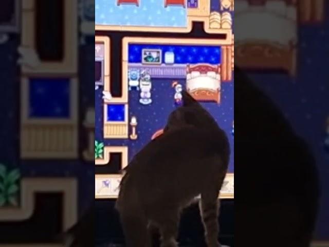 When the cat helps you play games  - this will shock you #shorts #shortsvideo