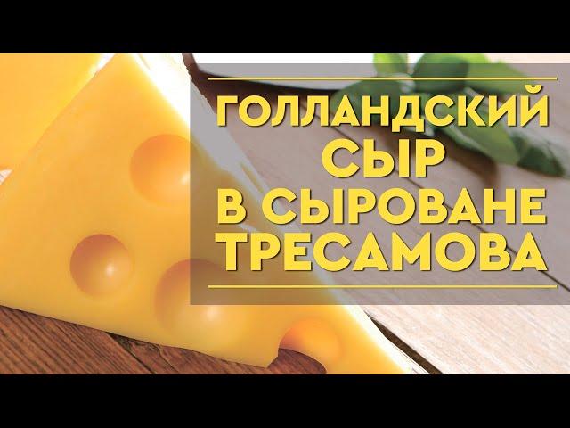 Как сварить голландский сыр ИЛИ как продать Молоко Сыр Дорого начинающим сыроварам Урок Мастер Класс