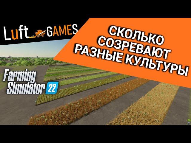 Сколько созревают разные культуры в Farming Simulator 22