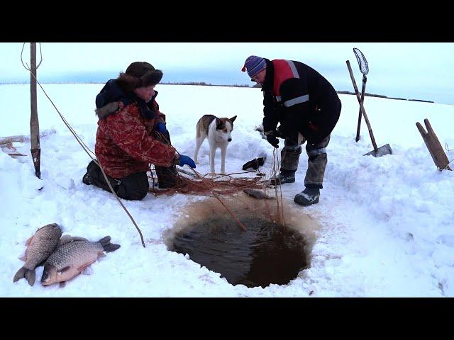 Ловля гигантского карася сетью в январе.