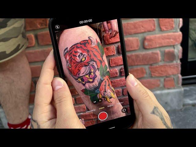 Tiger Tattoo Time Lapse | 1 Session