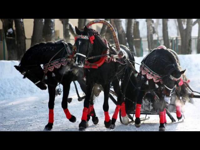 Сыпал снег буланому под ноги...