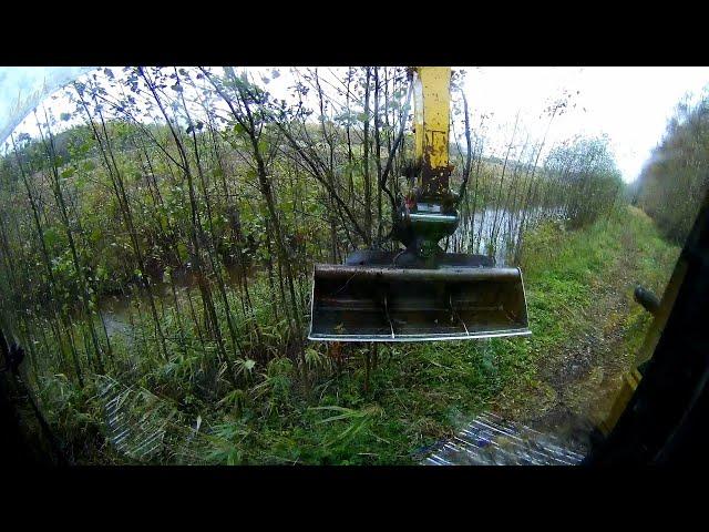 The beavers hid this dam in the thickets