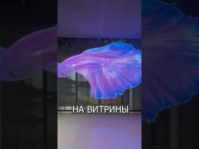 Новые ЭКРАНЫ из Китая удивили весь мир