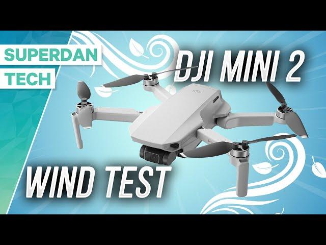 dji Mini 2 Wind Test | Can it handle a strong wind???