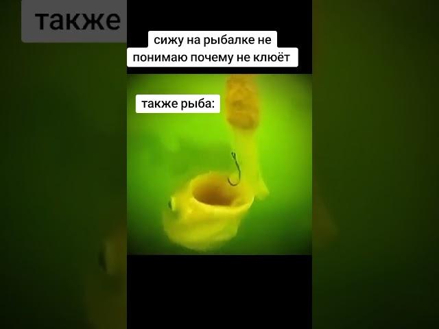 Рыбалка #удочка #fishing  #рекомендации #рыбалка