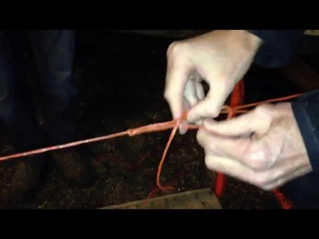 Tree Lot | Fast Easy Method for Tying a Tree to a Car | BSA Troop 61 | Milwaukee, WI