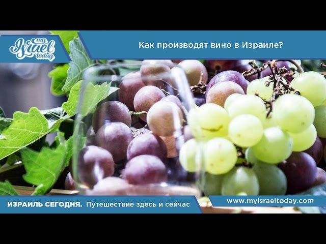 Видеоблог: Как производят вино в Израиле?