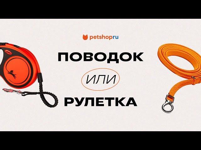 Что выбрать для питомца: поводок или рулетку? 