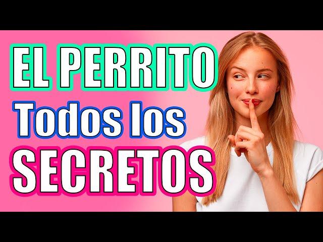 A4 ¡TODOS los Secretos que NO SABES!