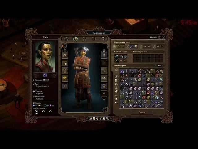 Pillars Of Eternity 2: Deadfire - Спутники в игре