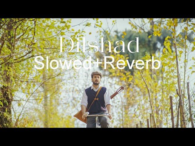 Dilshad|Slowed+Reverb|Official Music song)|Hazik Music. #dilshad