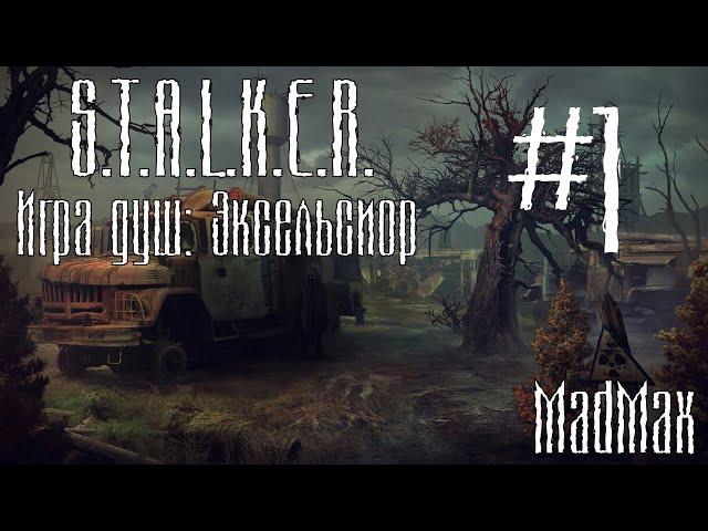 STALKER. Игра Душ: Эксельсиор. Часть 1 - В рядах Наёмников