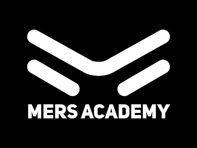 Интервью с учениками и выпускниками Mers Academy 2019. Мерс Академия развод?