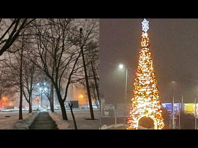 Christmas celebrations in gomel ‍#ytshorts #viral #shorts #celebration #newyear