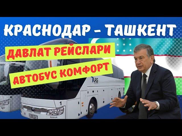 Краснодар Ташкент автобус катновлари давлат рейслари прямой рейс без посредника по местам по билетам