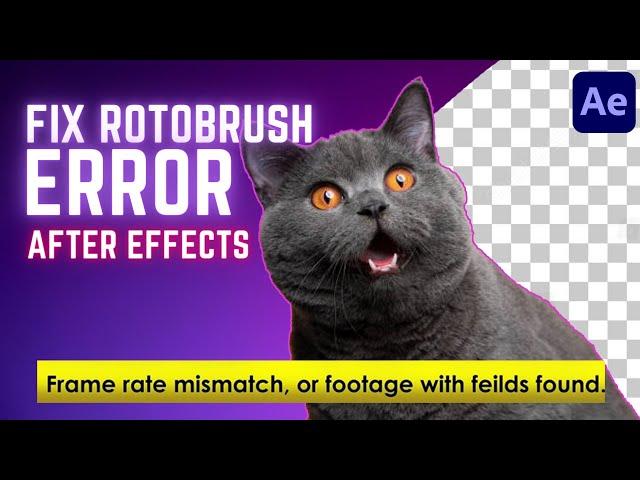 How to Fix Rotobrush Error in After Effects (Frame rate mismatch) - Blinking video error roto brush