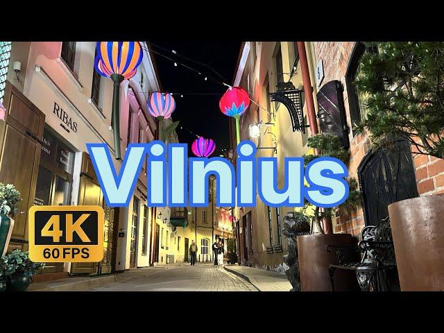 Vilnius, Lithuania. Walking tour 2024. Old Town at night in 5 minutes.