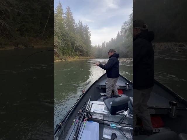 Catching salmon on the Sol Duc River with Mason Jackson. #hohrainforest #solducriver #cohosalmon