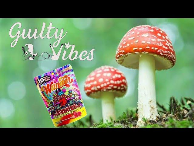 Wunder Mushroom GUMMIES HIGH POTENCY (Strawberry Banana)