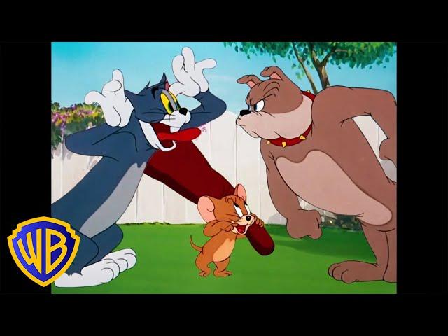 Tom & Jerry | Best Buddies  | Classic Cartoon Compilation | WB Kids