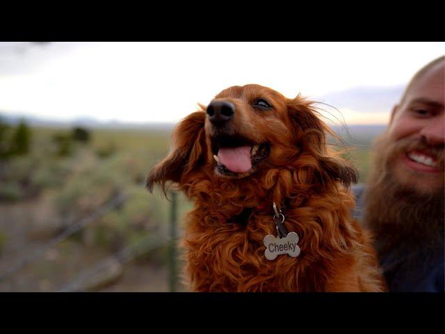 One year LIVING THE VANLIFE | RAW footage of my brother before he passed away on the road..